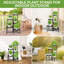 Plant Stand - Set of 6