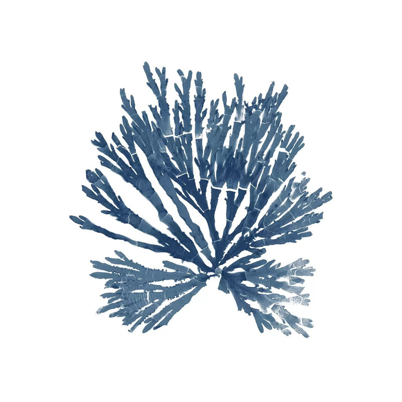 Pacific Sea Mosses Blue On White II by Wild Apple Portfolio - Wrapped Canvas Gallery-Wrapped Canvas Giclée
