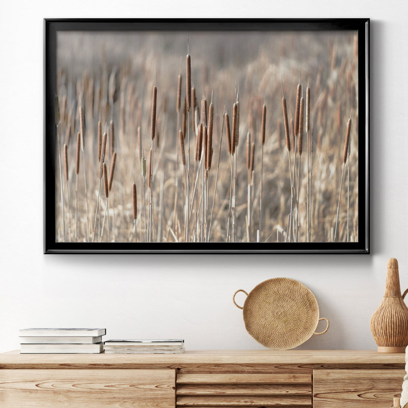 Summer Tails - Photographie avec cadre photo, H 30,5 po x l 42,5 po x P 1,5 po, Black Framed Canvas