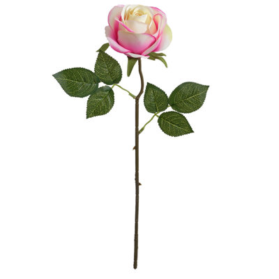 Imitate A Singles Rose
