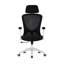 Kjeld Mesh Office Chair with Headrest-266170661
