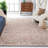 Vivaldi Performance Oriental Rug-1877711059
