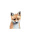 Baby Fox - Wrapped Canvas Painting-1854032791