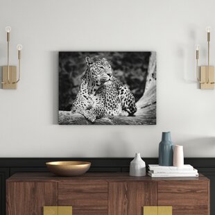 Leopard/Gepard) (Schwarz; Alle zum Verlieben Bilder