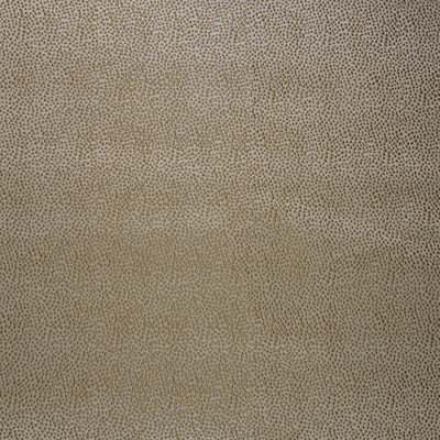 Sur le tissu à points Wesco Gentry