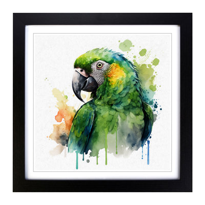 Parrot Watercolour - Framed Print