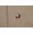 Little Animals Gabbeh Oriental Area Rug