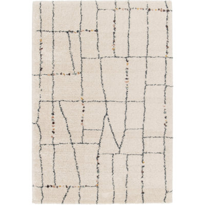 Adilen Moroccan Shag Area Rug