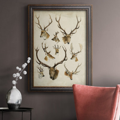 " Western Animal Species II " Painting Print