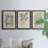 " Antique Black And White Botanical VII " 3 - Pieces-408395205-408395206