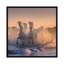 «White Angels of Camargue V» par Daniel Kordan, reproduction sur toile tendue-31845693-73268626-73268627