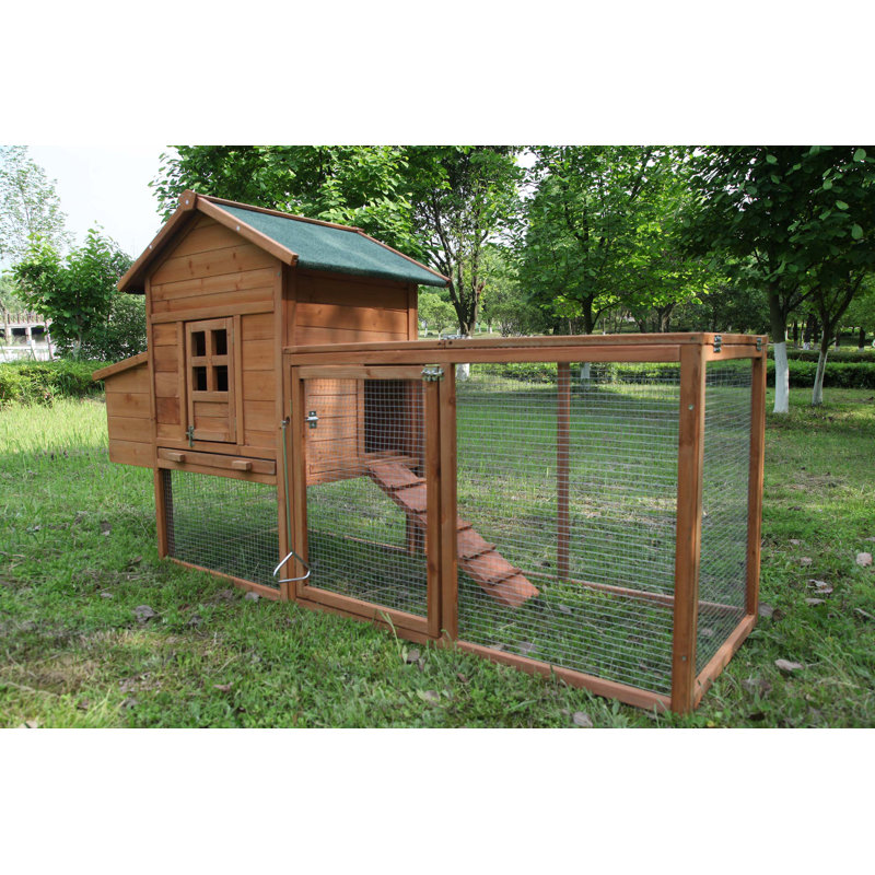Zebediah 12 Square Feet Chicken Coop with Chicken Run For Up To 3 Chickens