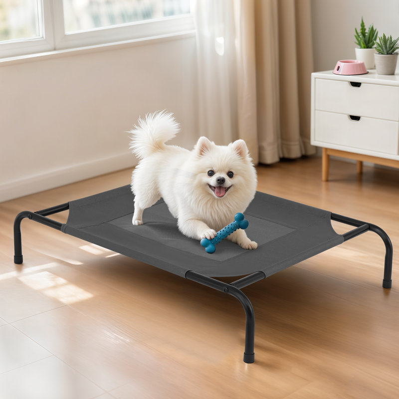 Portable Elevated Pet Bed Dog Cot Bed With Removable Bolster, Extra Small (35.5" W x 25.5" D x 7.5" H), Dark Green