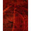 Tapis rouge en laine unique 4 pi 2 po x 6 pi 2 po Huckstep