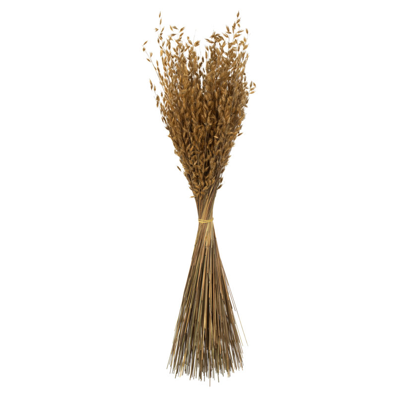 Vickerman all Natural Princess Grass Bundle, Dried 30 " H Faux Foliage Grass