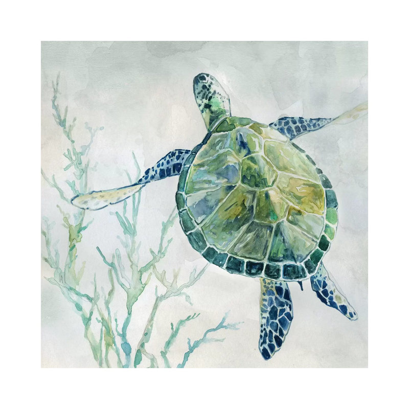 «Seaglass Turtle II» par Carol Robinson - reproduction d'art sur toile tendue, Toile tendue, H 12 po x l 12 po x P 0,75 po