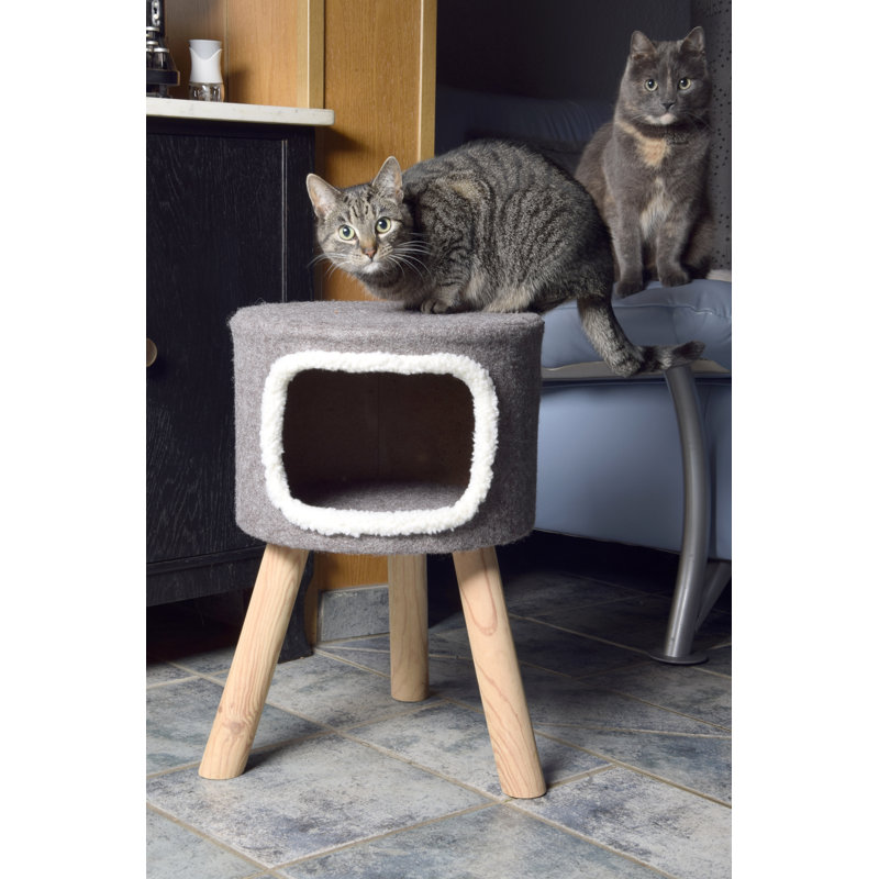 Cosmos 50 cm H Cat Tree / Condo