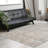 Aidy 1244 Transitional Abstract Beige Area Rug-419495898