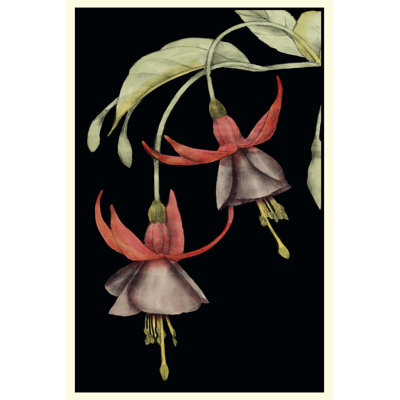 Fuchsia V by Jennifer Goldberger - Wrapped Canvas Art Prints