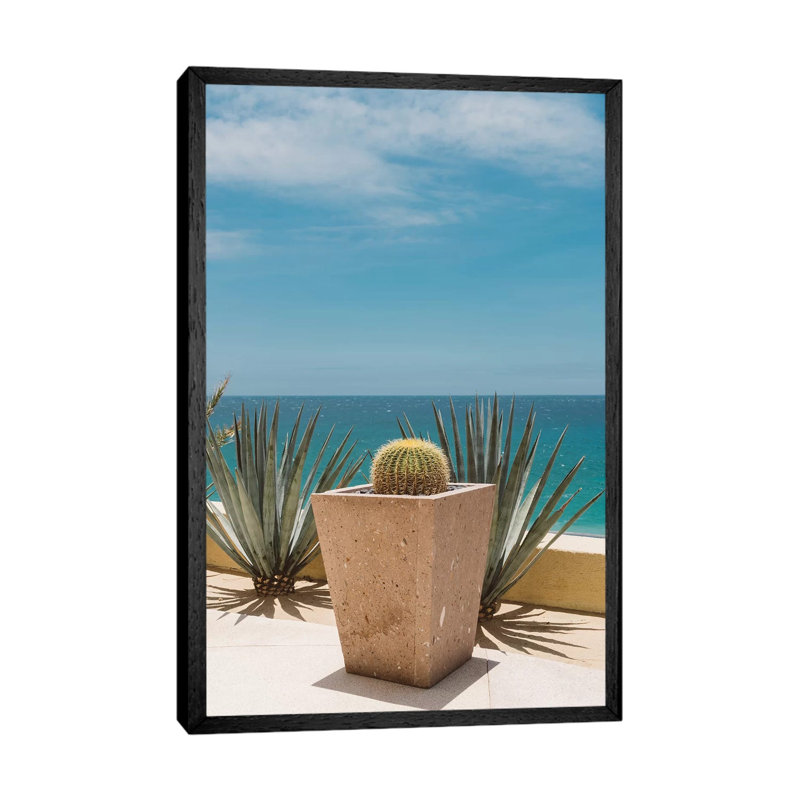 Cabo Cactus by Bethany Young - Print on Canvas, 152.4cm H x 101.6cm W x 3.81cm D, Black Framed