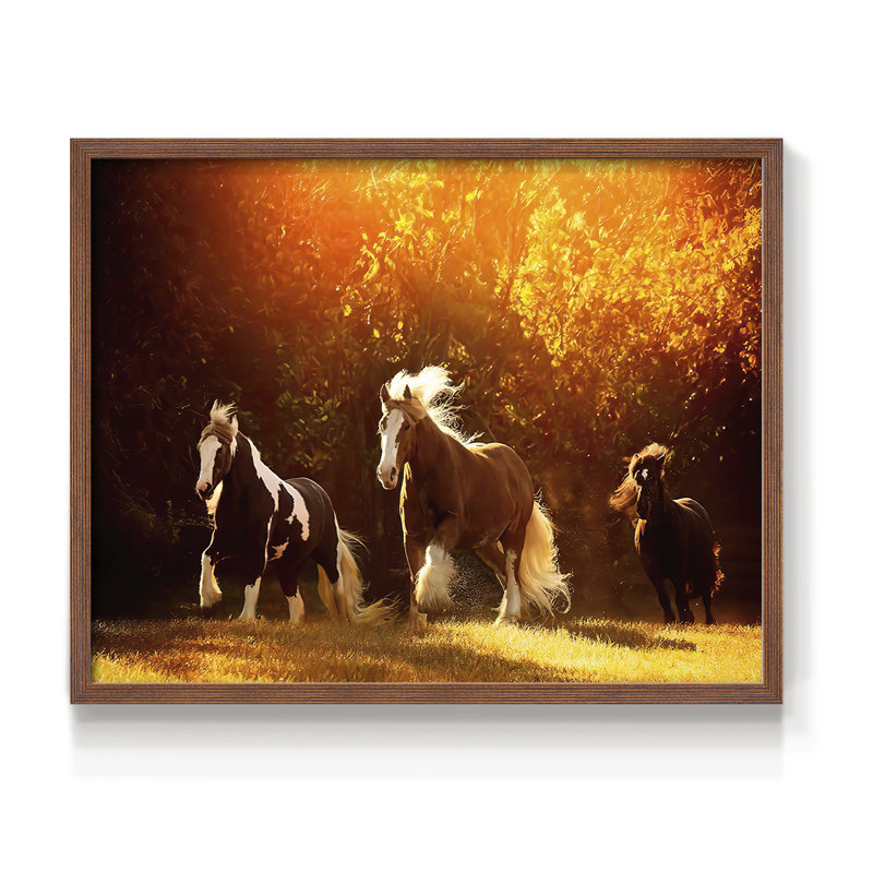 Horse Motion V -Framed Print - Restickable, 8" H x 10" W, Walnut