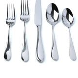 5 Piece Flatware Set, Service for 1