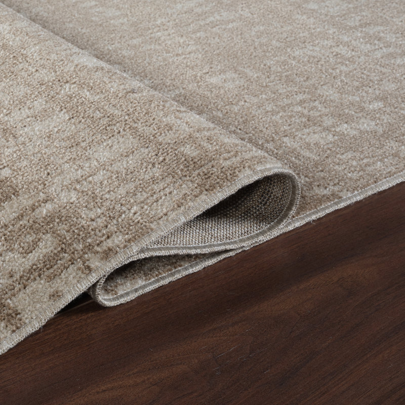 Machine Washable Frances Beige/Brown Rug, Rectangle 10' x 14'