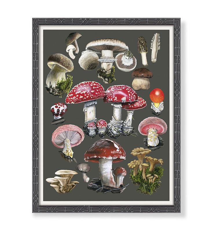 Thicket Design Mushroom Chart Framed On Paper: