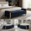 Banc de rangement moderne rembourré avec double couvercle et accoudoirs pour une organisation polyvalente du salon et de la chambre-1322612764-1322612766