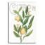 «Classic Citrus V Light» par Sue Schlabach-645004750