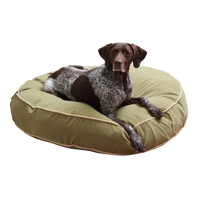 Lit pour chien Buckhead, Mousse, Très grand (l 42 po x P 42 po x H 6 po)