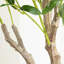 Decorative Object
