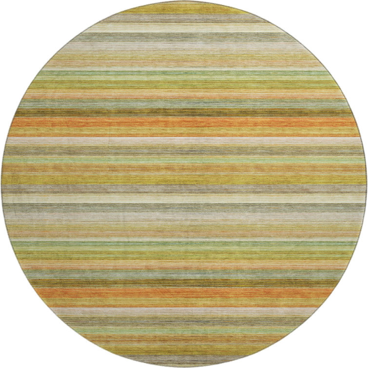 Premium Machine Washable Cerrito AMF535 Rug