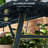 Bench, Garden Bench, Outdoor Patio Bench-1860149944