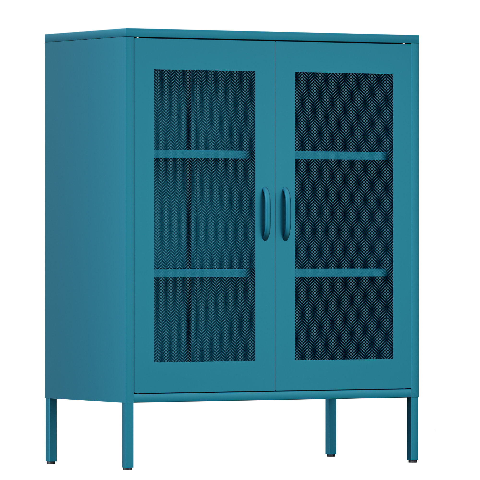 Ascena Steel 2 Door Accent Cabinet