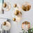 Frieda 2-Light Brushed Brass Glass Flower Wall Sconce