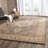 Pennypacker Performance Oriental Rug-311998596