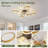Jacco 37'' Ceiling Fan with 8 LED Lights
