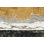 Décoration murale oiseaux en plâtre délavés