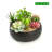 Caaliyah Ceramic Pot Planter