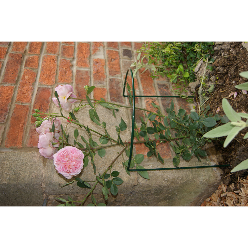 Babken Metal Plant Support, Green, 50.8cm H x 38cm W x 25.4cm D