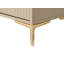 Rectangle Accent Chest