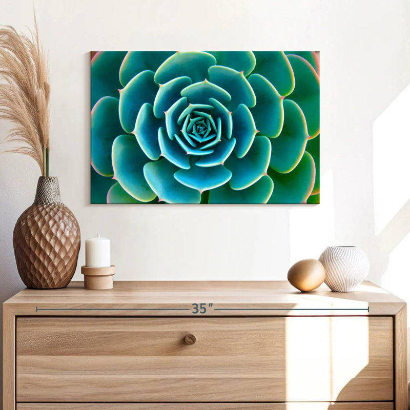 «Live Succulent», reproduction sur toile, H 16 po x l 24 po x P 1,25 po