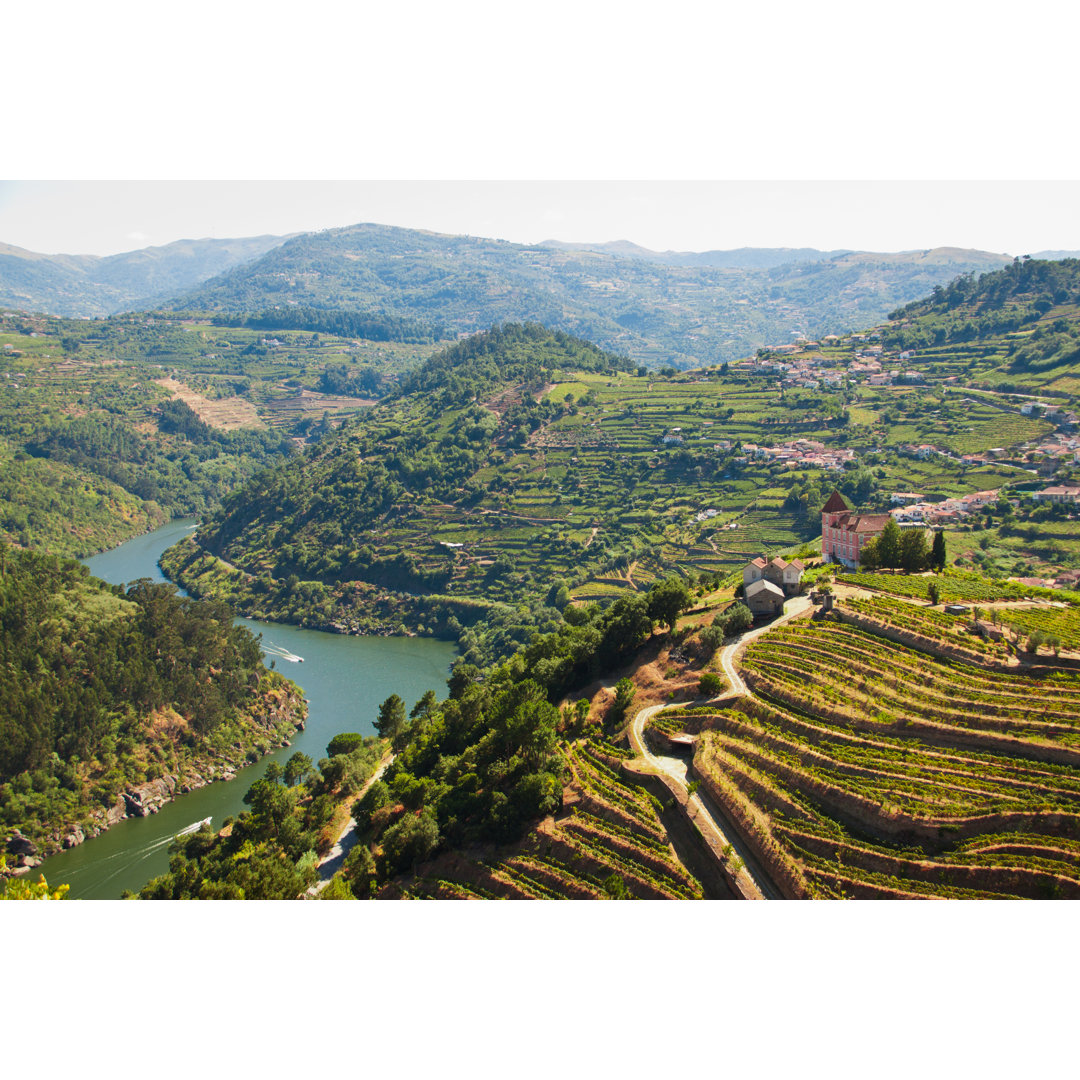 Leinwandbild Vineyards Douro Stream