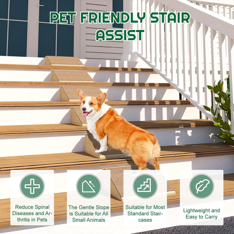Rampe pour chien pour escalier avec tapis brun antidérapant