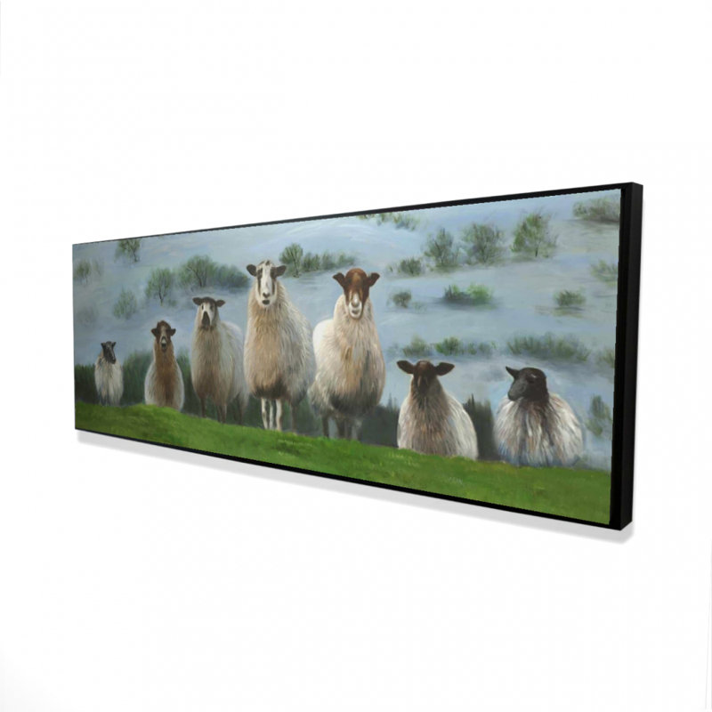 «Flock Of Sheep» sur