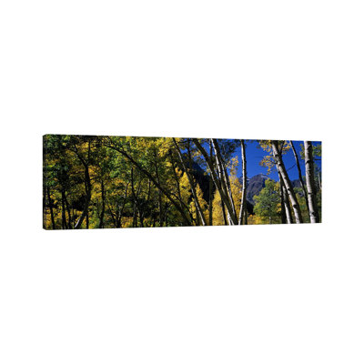 Aspen Trees With Mountains In The Background - Wrapped Canvas Panoramic Print