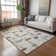  Brayant Area Rug