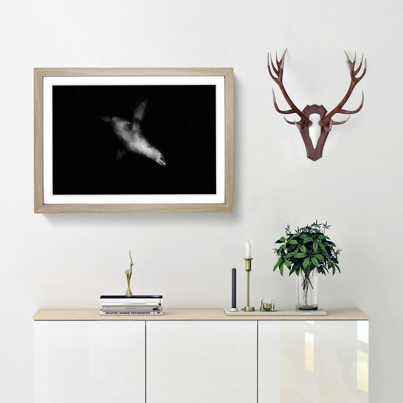 Sea Lion - Picture Frame Painting Print, Oak Framed, 36cm H x 48cm W x 2cm D