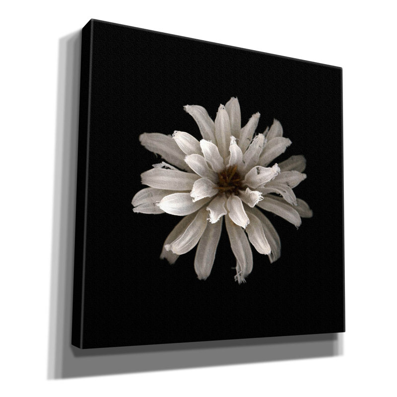 Tout blanc par PhotoINC Studio, H 12 po x l 12 po x P 0,75 po